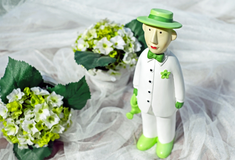 boutique-BELVEDERE-min_man-person-flower-green-toy-fig-546529-pxhere.com